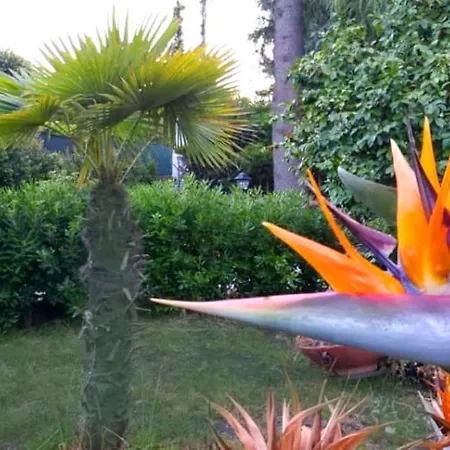 Etna Holiday home *