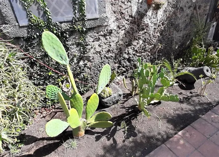 Etna בית נופש