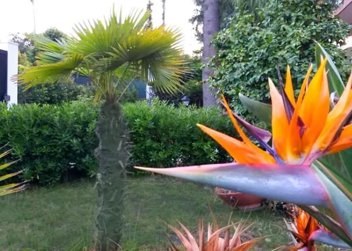 Etna בית נופש *